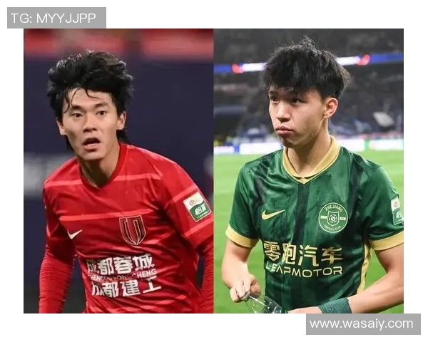 中超球员身价最新更新：米特里策高居首位，王钰栋领跑本乡球员榜